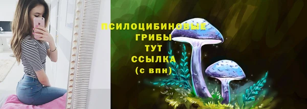 mdpv Остров