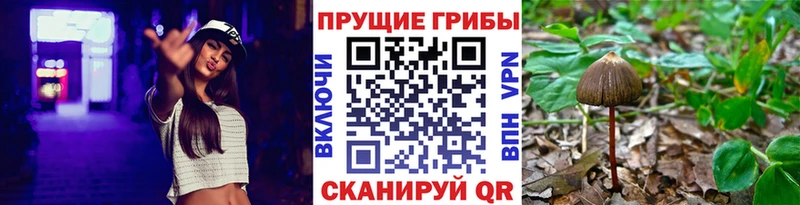 что такое наркотик  Алушта  Псилоцибиновые грибы прущие грибы 